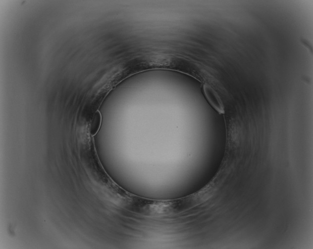 X0000101110172200807031748