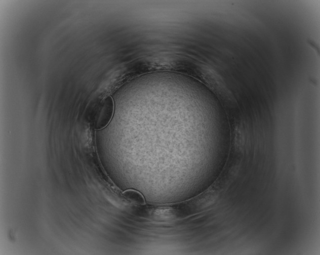 X0000101110173200807031748
