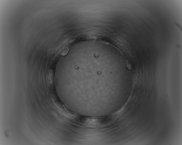 X0000101110174200807031748