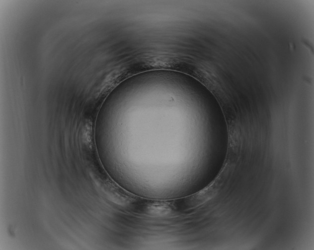 X0000101110175200807031748