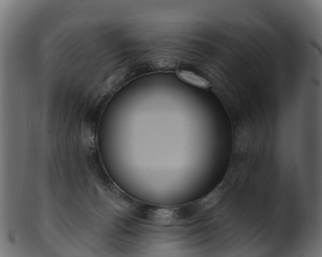 X0000101110176200807031748