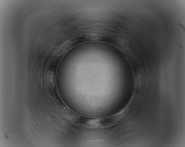 X0000101110178200807031748