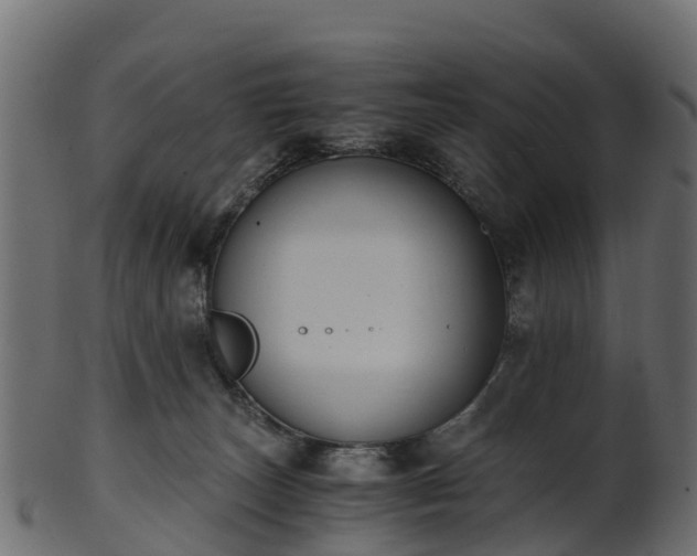 X0000101110179200807031748