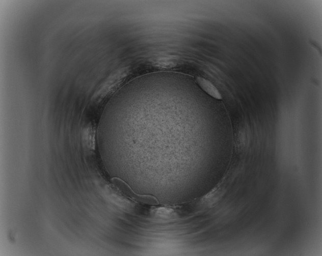 X0000101110180200807031748