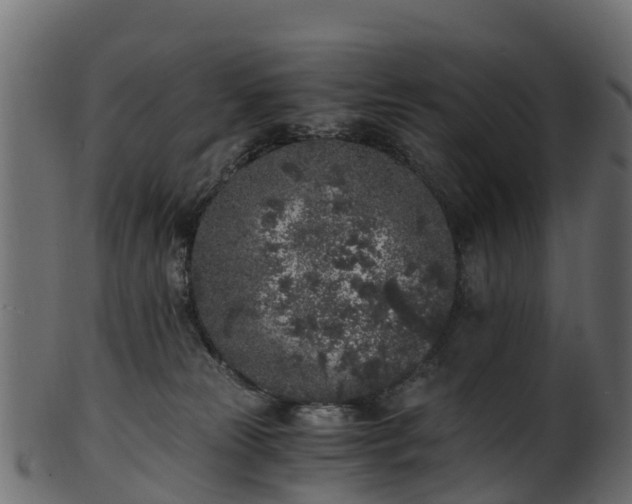 X0000101110181200807031748