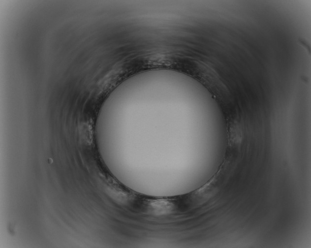X0000101110183200807031748