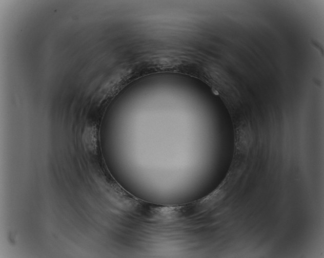 X0000101110184200807031748