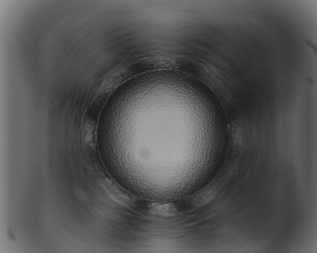 X0000101110185200807031748