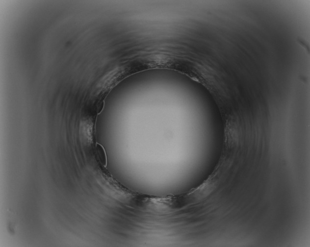 X0000101110188200807031749