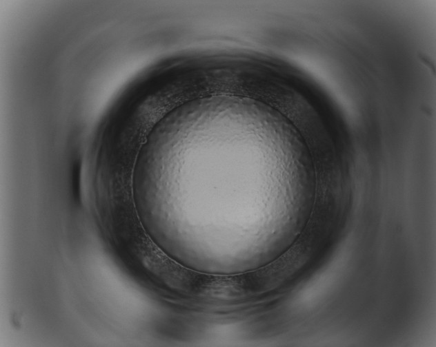 X0000101110189200807031749