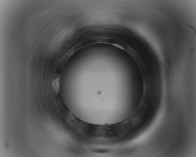 X0000101110190200807031749