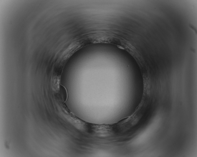 X0000101110191200807031749