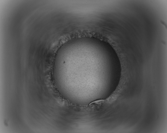 X0000101110192200807031749