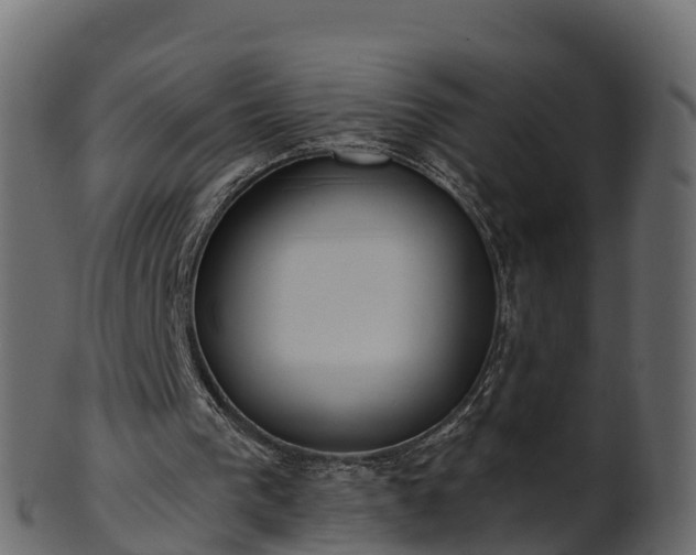 X0000101110193200807031748