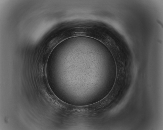 X0000101110194200807031748