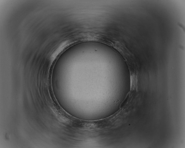 X0000101110195200807031748