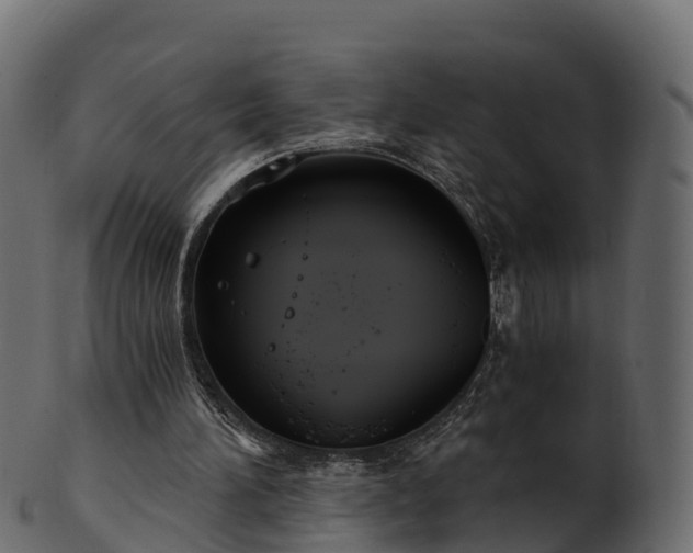 X0000101110196200807031748