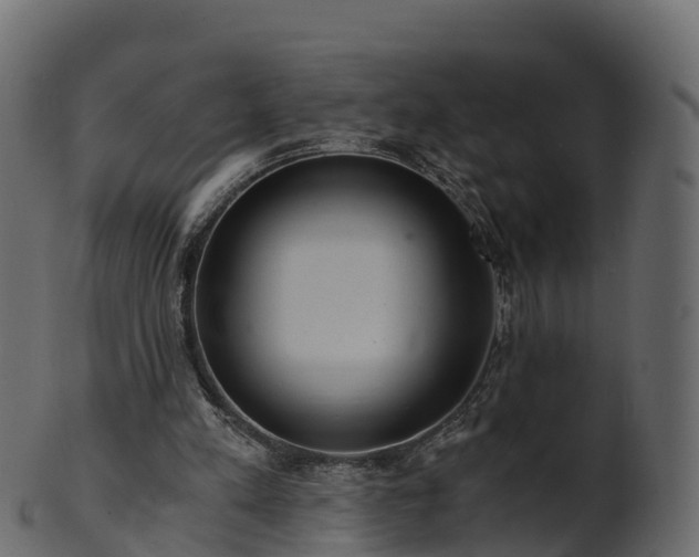 X0000101110197200807031748