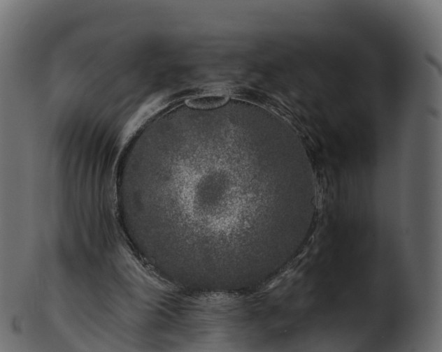 X0000101110198200807031748