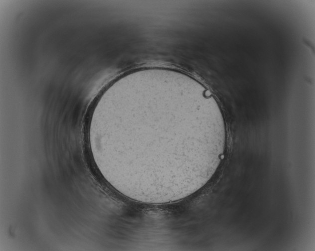 X0000101110199200807031748