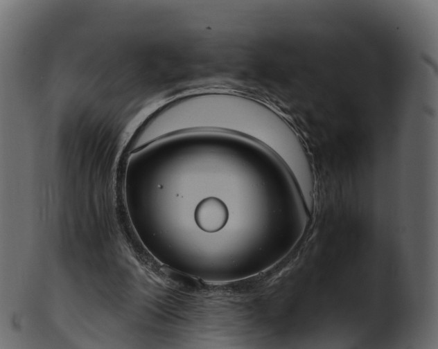 X0000101110200200807031748