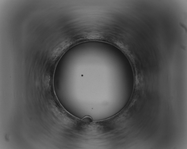 X0000101110201200807031748