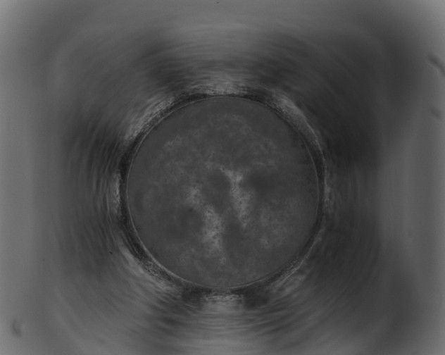 X0000101110202200807031748