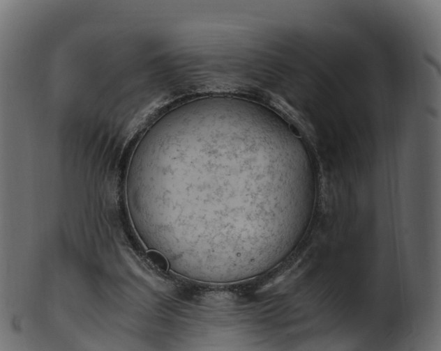 X0000101110203200807031748