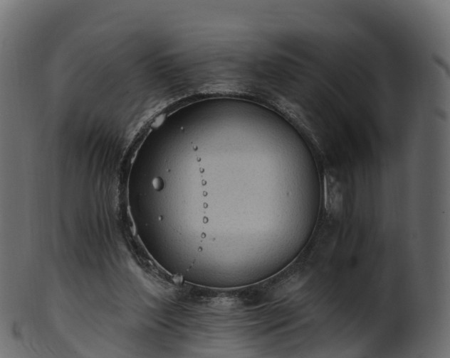 X0000101110204200807031748