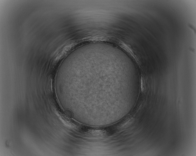 X0000101110205200807031748