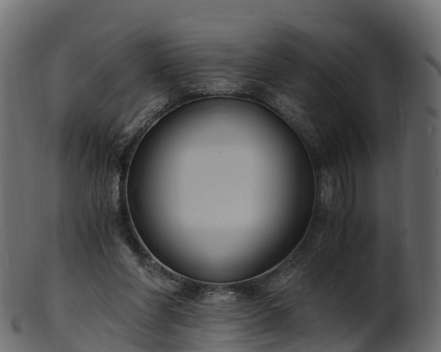 X0000101110206200807031748