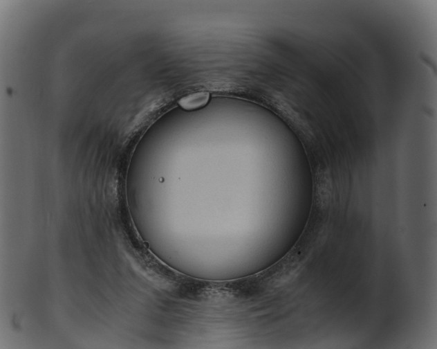 X0000101110207200807031748