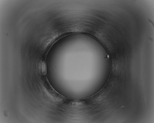 X0000101110208200807031748