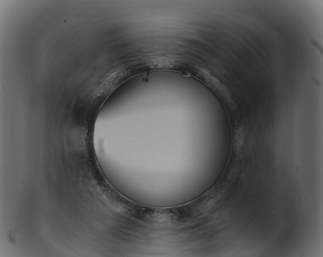 X0000101110209200807031747