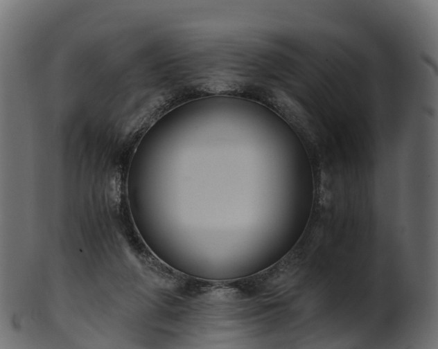 X0000101110210200807031747