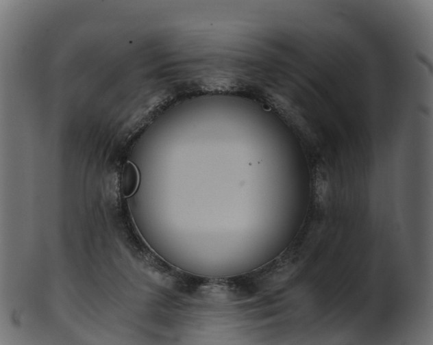X0000101110211200807031747