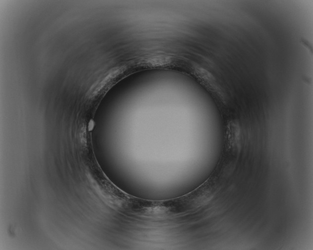 X0000101110212200807031747