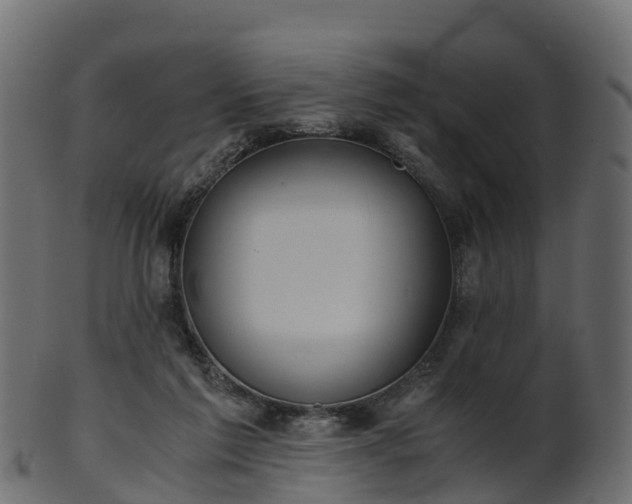 X0000101110213200807031747