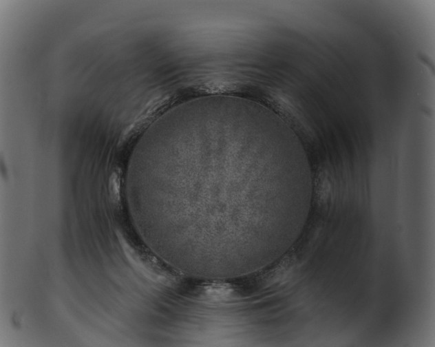 X0000101110214200807031747