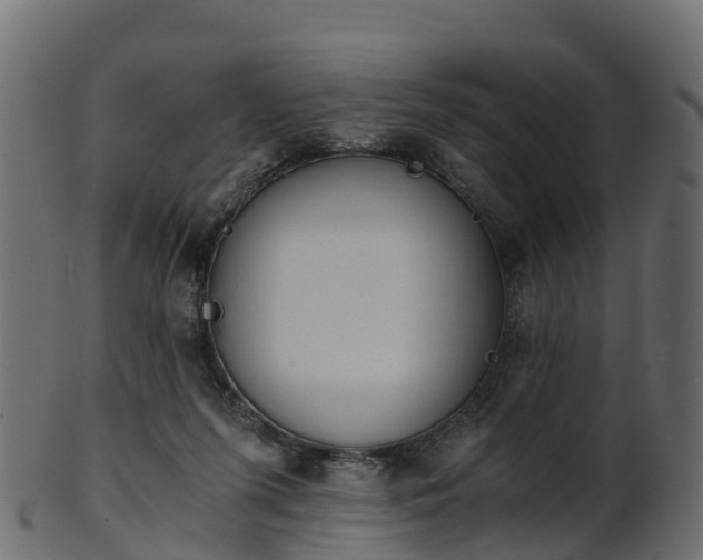 X0000101110215200807031747