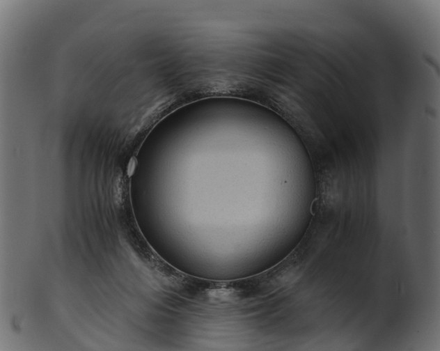 X0000101110216200807031747