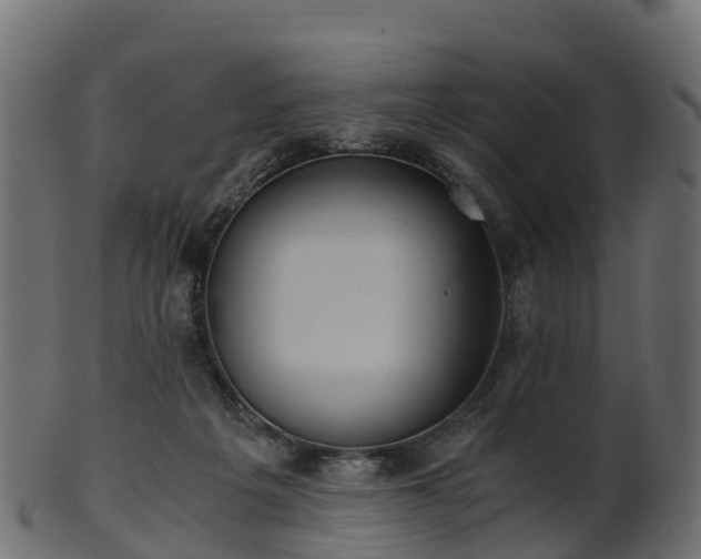 X0000101110217200807031747