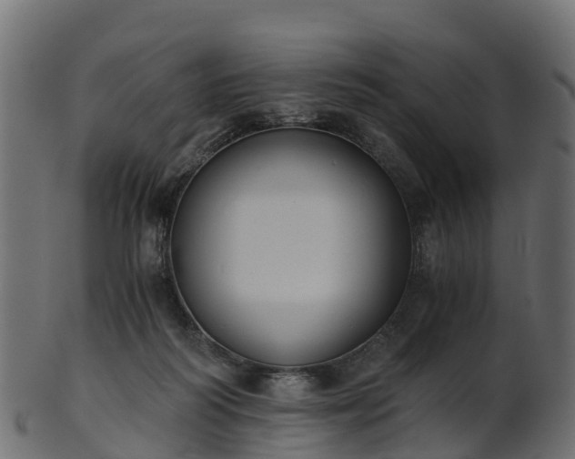 X0000101110218200807031747