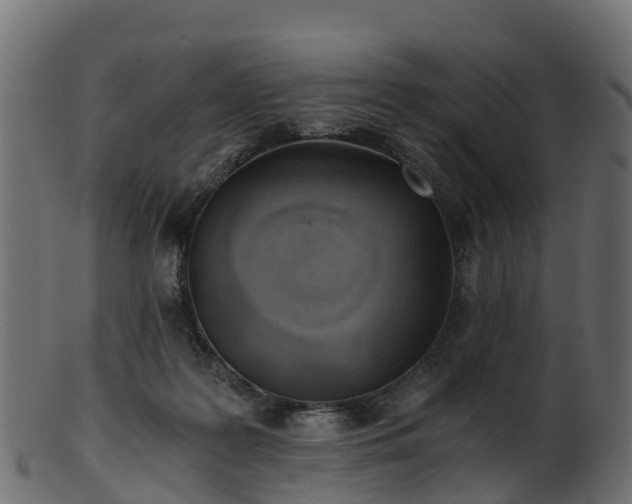 X0000101110219200807031747