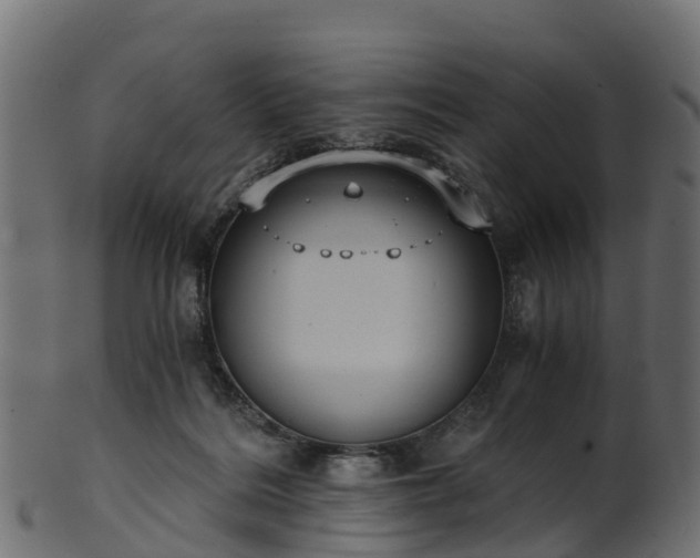 X0000101110220200807031747