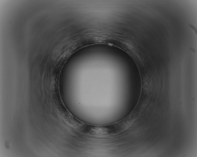 X0000101110221200807031747