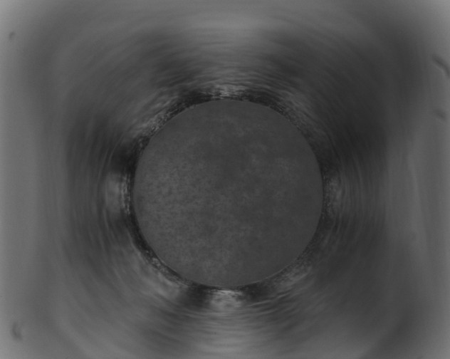 X0000101110222200807031747