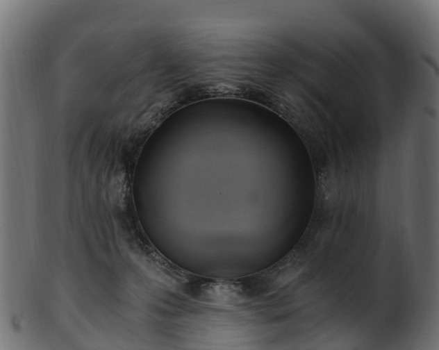 X0000101110223200807031747