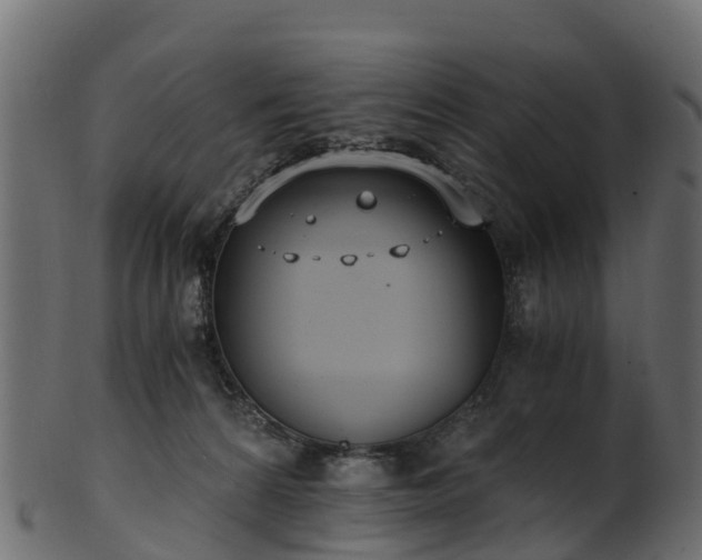 X0000101110224200807031747
