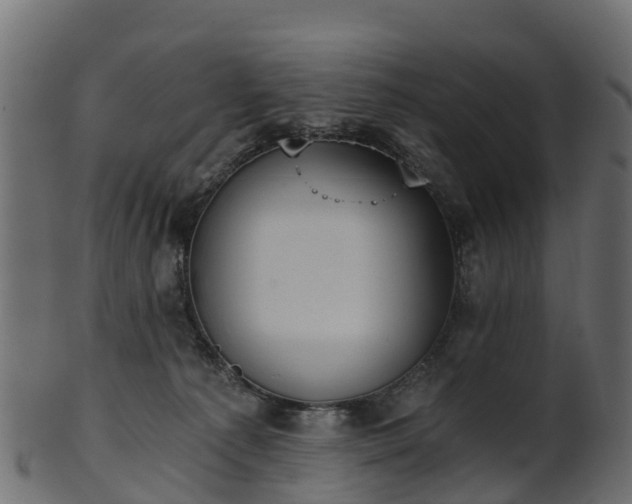 X0000101110225200807031747